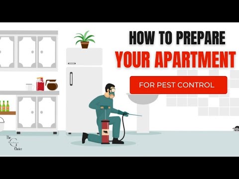 How to Prepare Your Apartment for Pest Control | The Guardians Choice