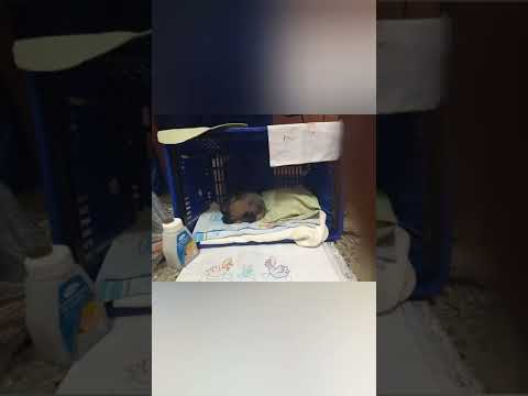 11 de agosto de 2022