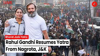 LIVE- Bharat Jodo Yatra: Rahul Gandhi Resumes Yatra From Sitni Bypass Nagrota, J&K