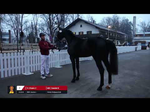 Lot 7 v. Cicero Z / Cassini II