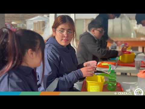 Estudiantes de Canela aprenden sobre suelos agrícolas mediante experimentos científicos
