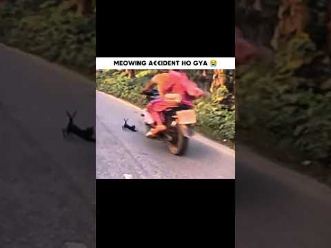 💥*_MEOWING A€€IDENT HO GYA😭 #blke #motovolgger #shortsvideo