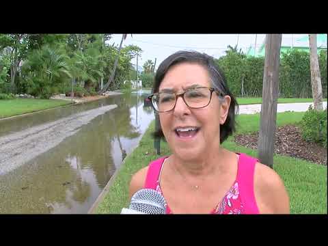 Video: ABC7 News at 11pm - October 10, 2018