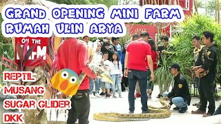 preview picture of video 'GRAND OPENING MINI FARM (RUMAH ULIN ARYA) | 2018'