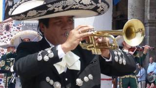 TE SIGO QUERIENDO. Cristian Castro.