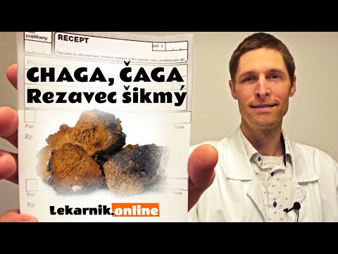, title : 'Chaga, Čaga (9 min)'