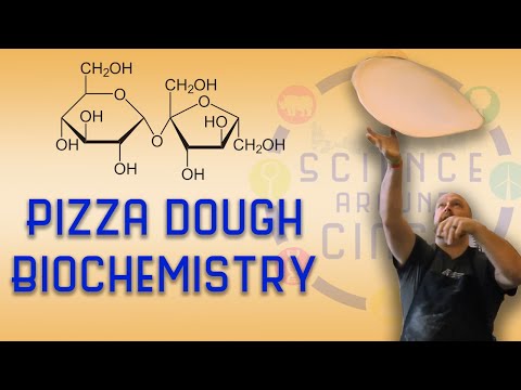 Pizza Dough Biochemistry - Fireside Pizza | Science Around Cincy