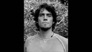 Ben Taylor   You Must've Fallen