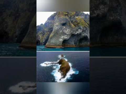 දැවැන්ත ගල් ගැසුනු සතුන් ලෝකය පුරාම ඉන්නවද 😨 #fypシ #සැම්පා #ashuddha