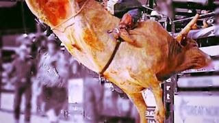 GB &quot;HillBilly Deluxe&quot;