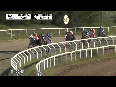 251108 c08 - BEST MOON - LAS PIEDRAS RACECOURSE