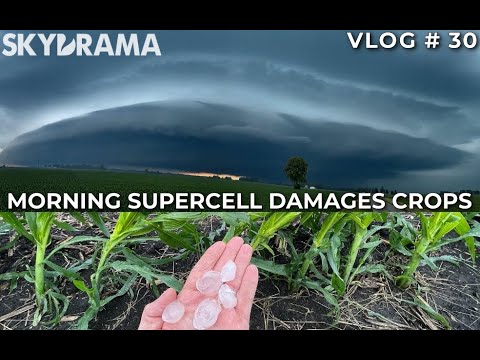Ferocious Morning Supercell Damages Crops in Champaign County, IL | June 12th 2022