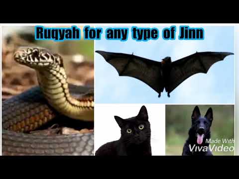 Strong Ruqyah for any type of Jinn snake / cat / Dog / Flying etc.