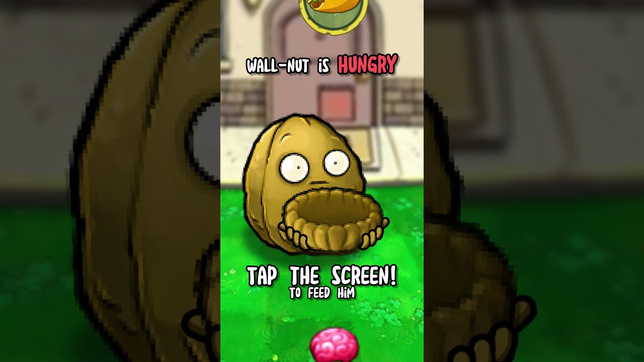 Pause Challenge: Hungry Wall-nut #pvz #plantsvszombies