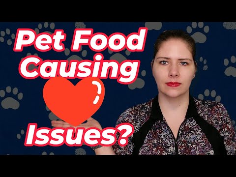 Nutrition Related Heart Disease - Feeding Grain-Free? Here's What to Do | A Veterinarian Explains