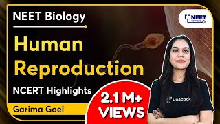 Human Reproduction | NCERT Highlights | NEET Biology | NEET 2021 Biology