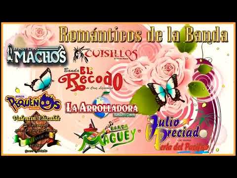 Bandas viejitas pero bonitas Románticas de la Banda Para Enamorados