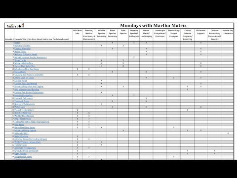 Mondays with Martha #137 - A Matrix!