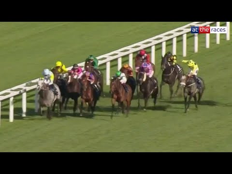 Such a cool ride! Brilliant from CHARYN to win the QEII at Ascot!