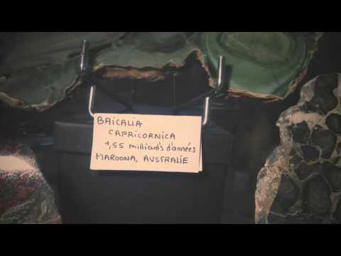 Juin à Rodez ! Bizzz à Marianne, Simon et Elisabeth! Allez Marianne!!!