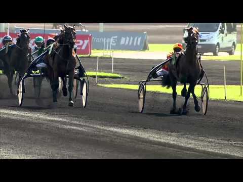 Vabellino - PRIX DE GRASSE   LOOP