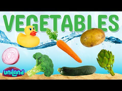 Sink or Float Challenge: Vegetables | UniLand Kids