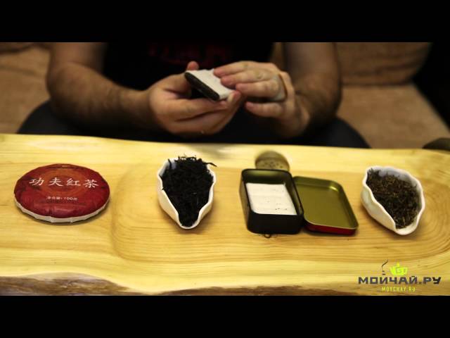 Обзор новых сортов красного чая