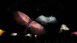 Afozic, Aperçu Vidéo