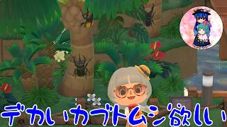 [あつまれ どうぶつの森]夏のイントロが聞こえる…！デカいカブトムシとりに行こう