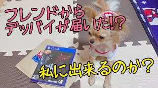 【初見】初めてのデッドバイデイライト【PS4】