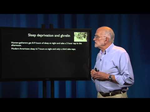 8.3 - Mismatch: Obesity