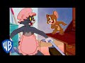 Tom Jerry Who Is The Best Pet Classic Cartoon Compilation WB Kids