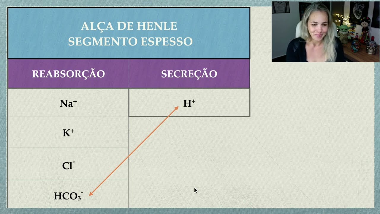 Alça de Henle Segmento Espesso e Furosemida