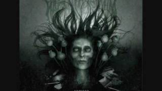 Nachtmystium- Every Last Drop