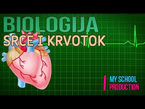 SRCE I KRVOTOK  Biologija Osnovnih škola