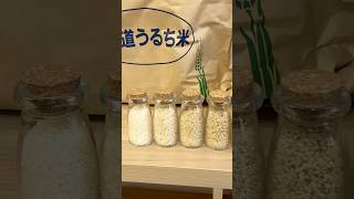The Rice Factory オークランドのお米屋さん #auckland #newzealand #thericefactory #rice #お米屋さん #精米 #freshlymilled