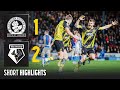 THE LATE LATE SHOW! 😅 | Blackburn Rovers 1-2 Watford | Short Highlights