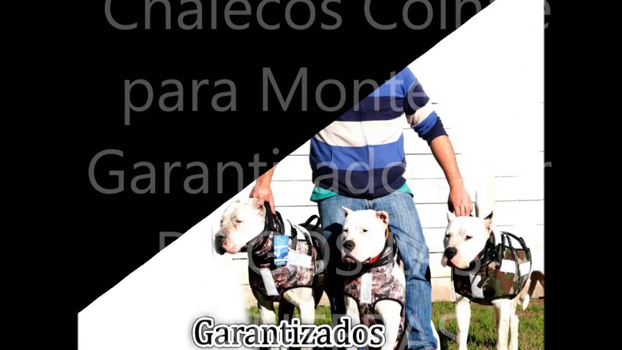 Chalecos para Montería Coihue