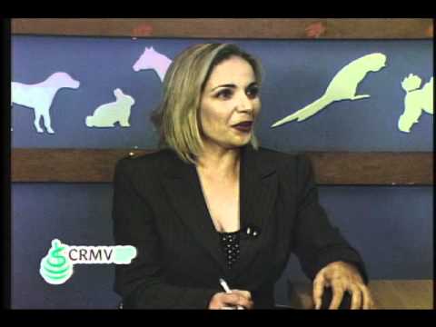 Saúde Animal: Fiscalização CRMV-SP(parte01)