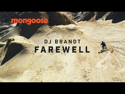DJ Brandt - Farewell