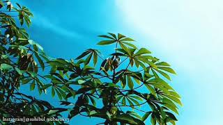 Download lagu PELESIRAN REMIX (julukan kota di Jawa barat) mp3