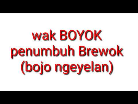 video-lucu-boso-jawa-keluarga-luku-wak-boyok