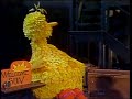 1197 Big Bird Waits For The Sun To Rise
