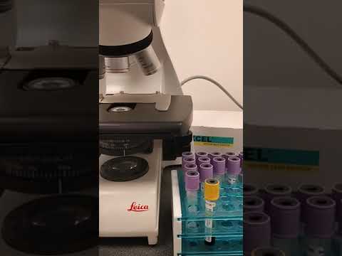 new branded medical leica micro scope world  famous in first