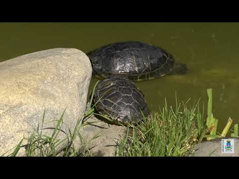 Il Bioparco di trecate