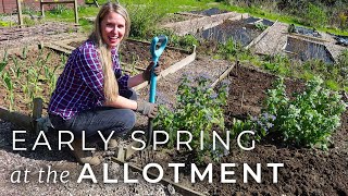 Early Spring at the Allotment Garden