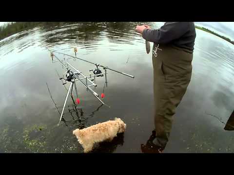 Nobby's bite indicator -  Antiques roadshow - brick method