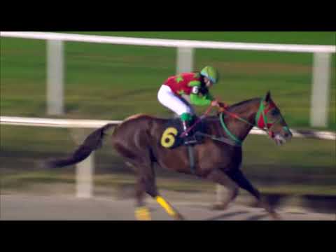 220625 c14 MINOTAURO