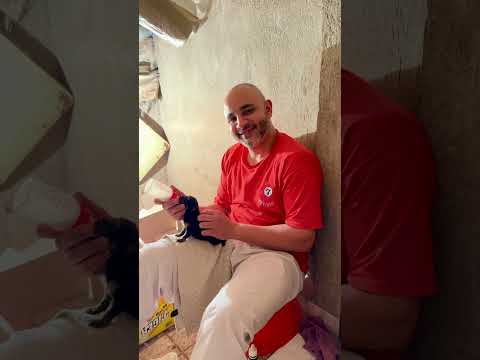 اصعب ولاده عدت عليه في حياتي 🥵 #rottweiler