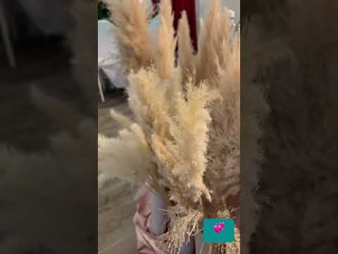 25 января 2025 #dance #tango #wedding #dancer #music #plants #garden #nature #snow